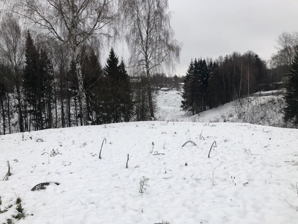 Земельный участок с домом в Новгороде-Северском