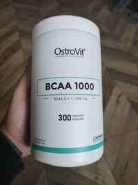 Suplement BCAA aminokwasy rozgałęzione - Siłownia