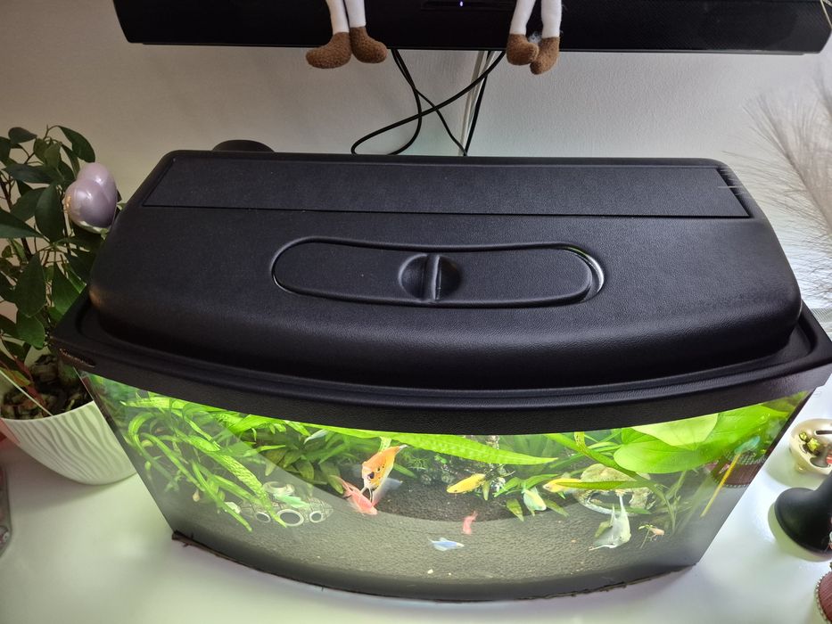 Akwarium z profilem (półokrągle) 60l