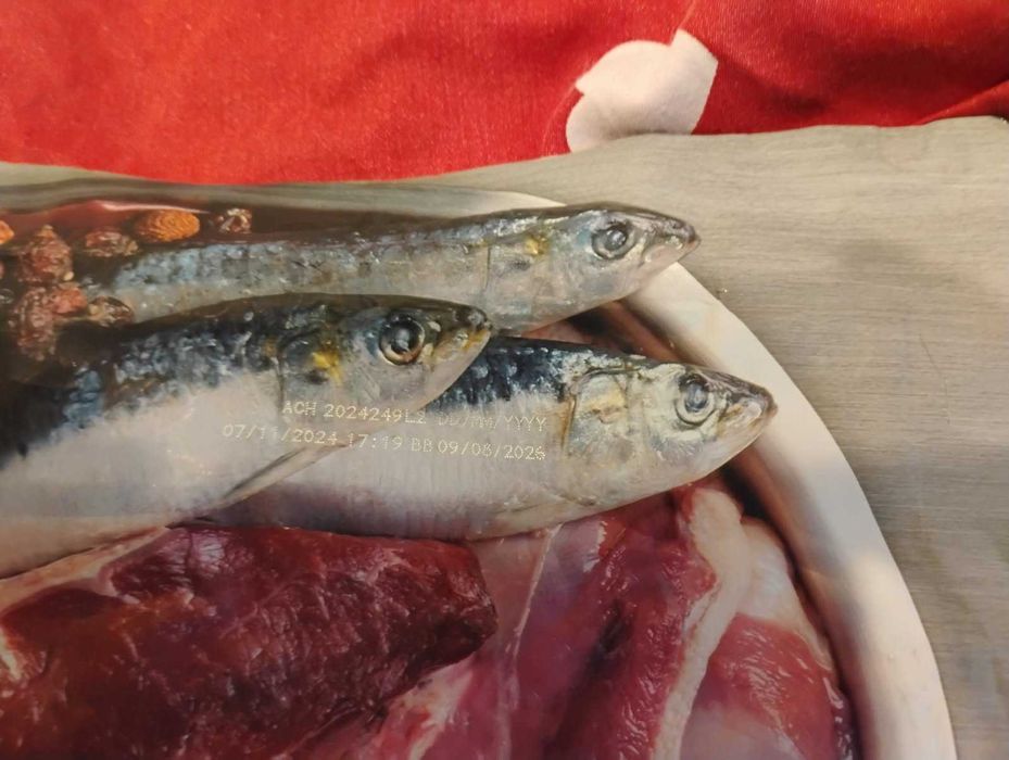 Orijen Tundra 11,4 kg Karma dla psa