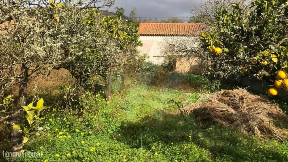 Quintinha com Armazém