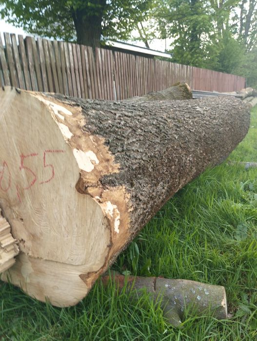 Jesion niecały kubik + lipa niecały kubik
