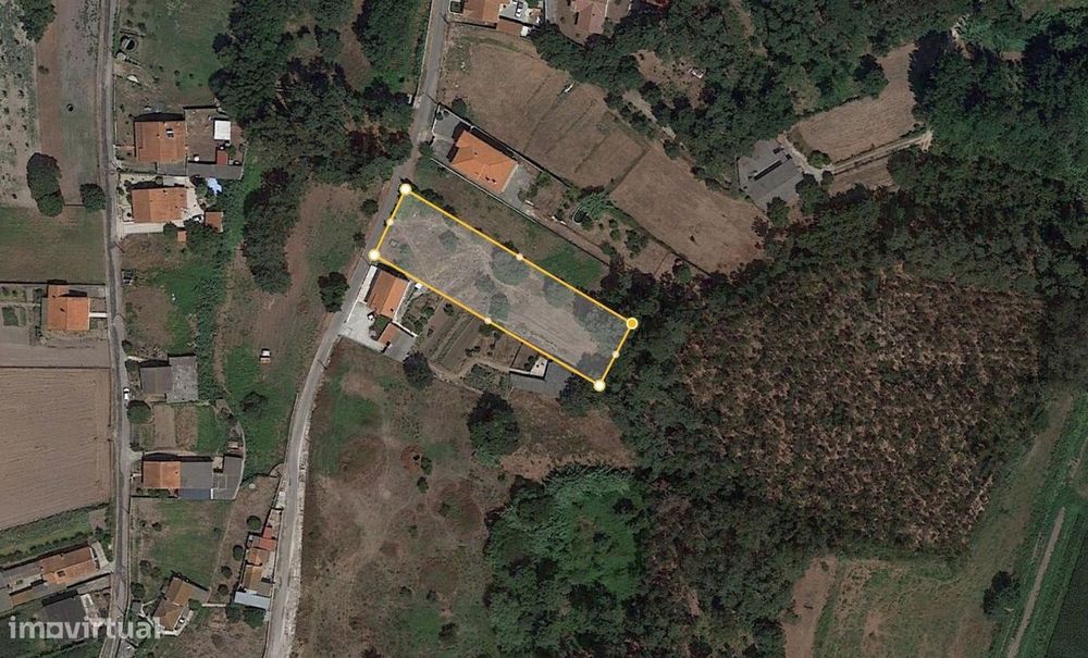 Terreno / Monte Real / Leiria
