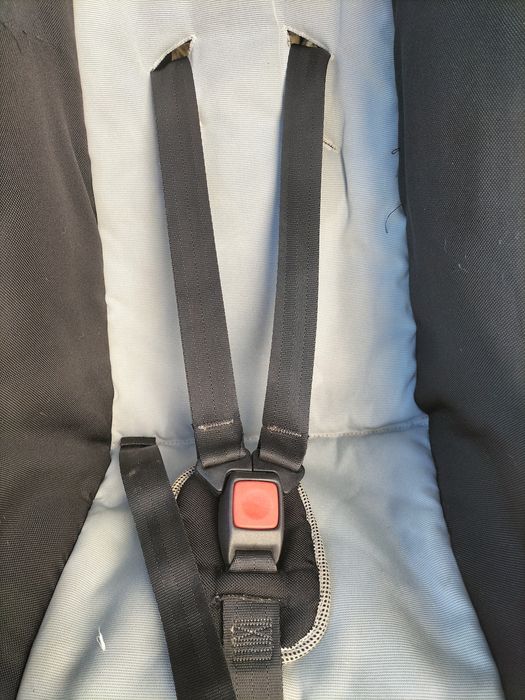 Vendo ovo de criança