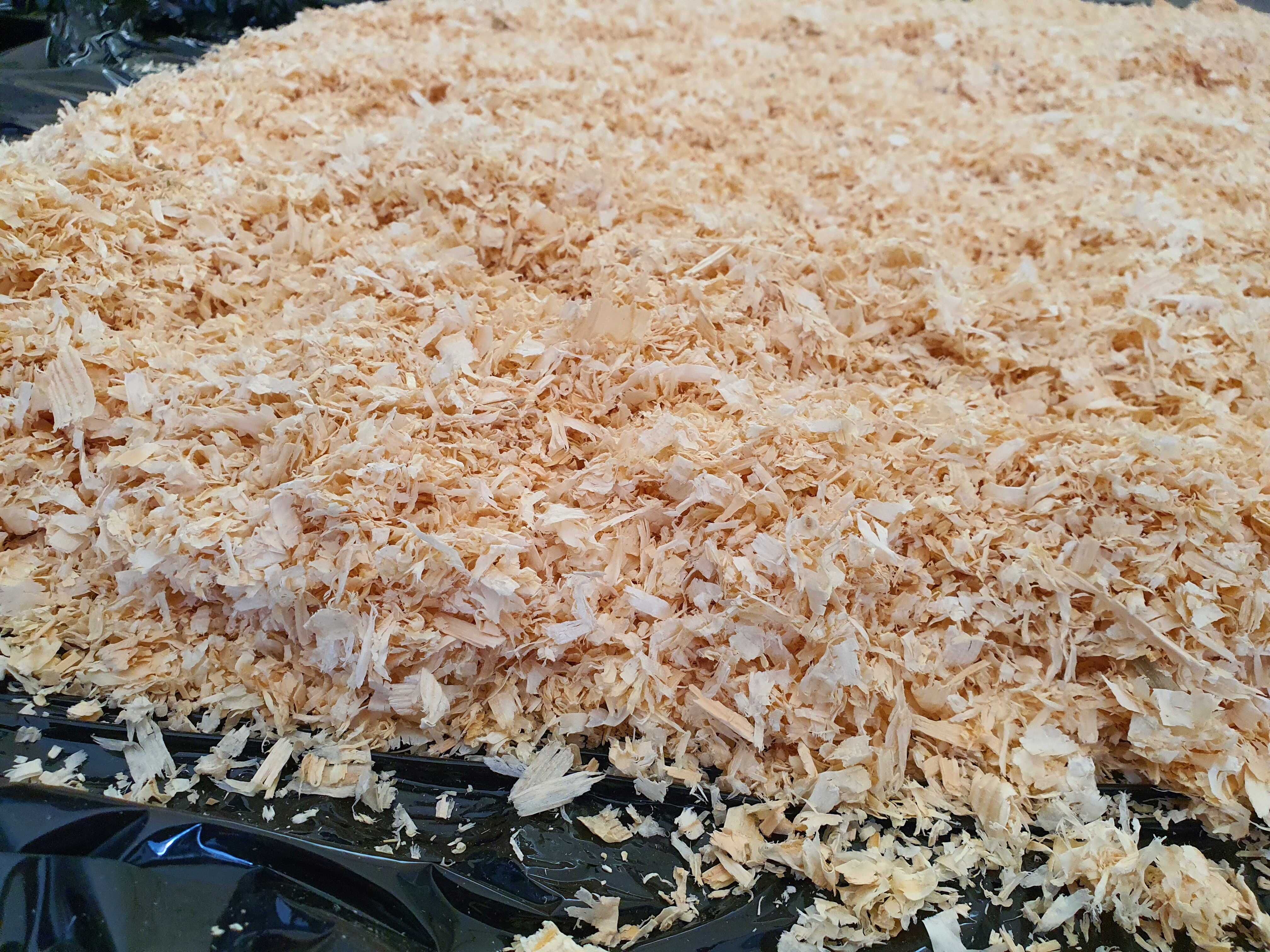 Trociny dla koni, ściółka dla koni, wióry, paleta 18szt x 23kg.