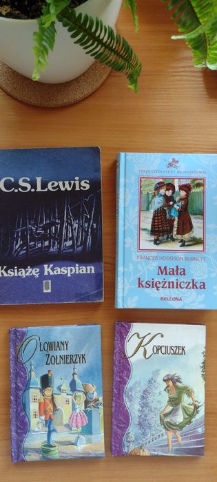 Książki dla dzieci i młodzieży