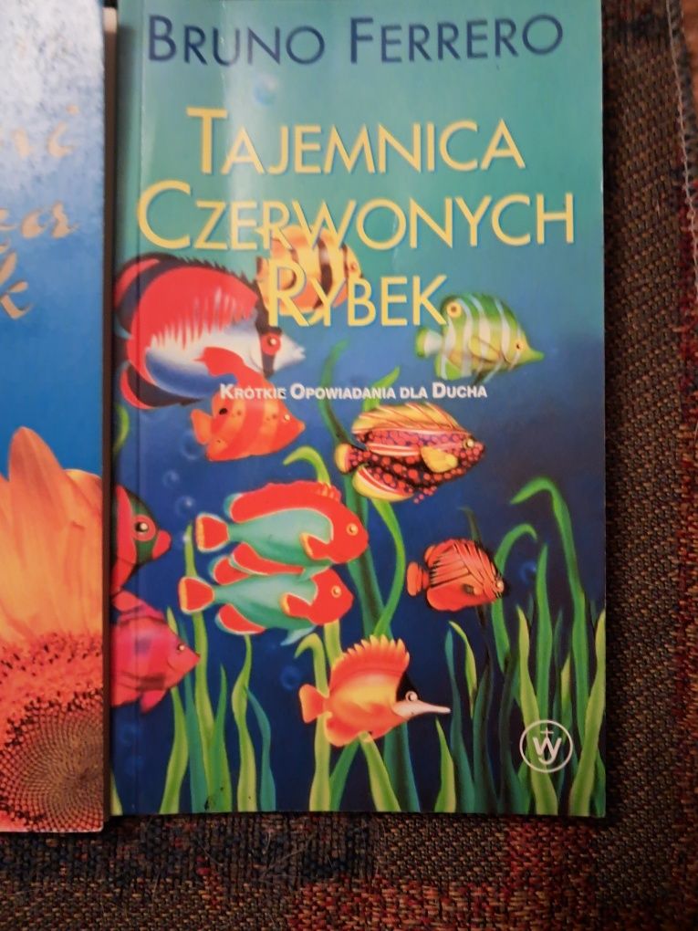 Tajemnica czerwonych rybek - Bruno Ferrero
