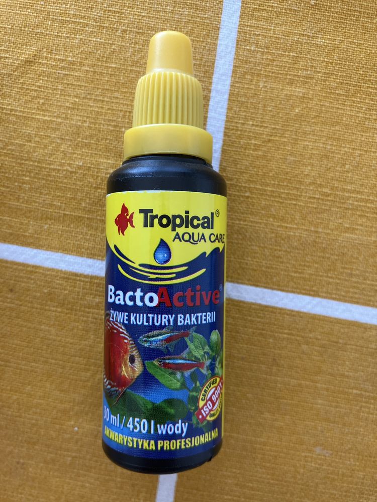 Kit para aquário
