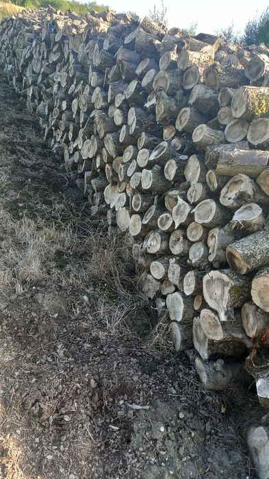 Drewno jabłoniowe na opał