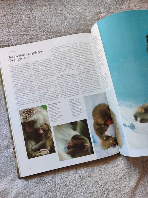 Livro: Vida Selvagem - Animais da Savana