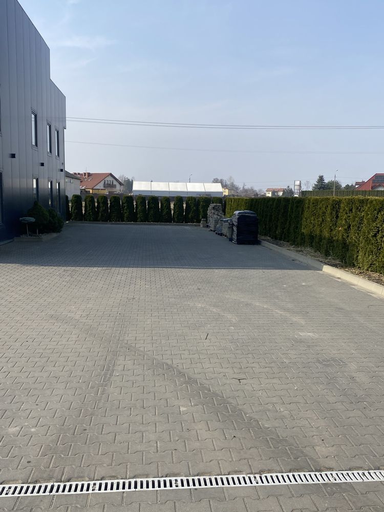 Plac Parking  powierzchnia grunt do wynajecia i nie tylko