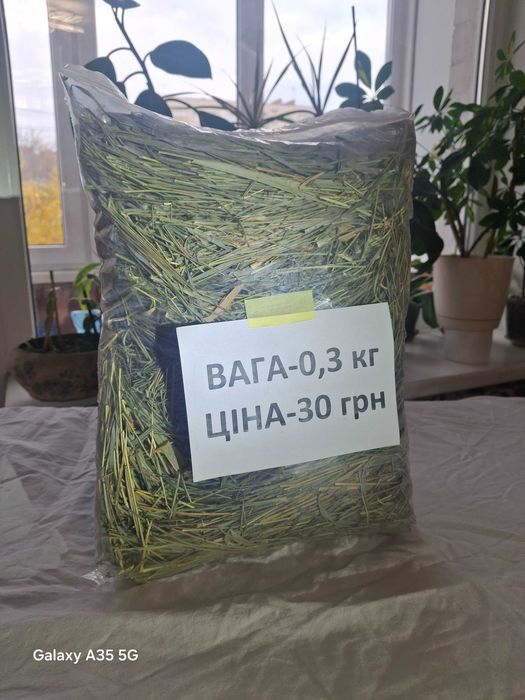 Сіно зелене для гризунів та тварин