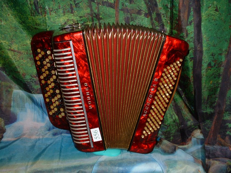 Avenda Acordeao R.556