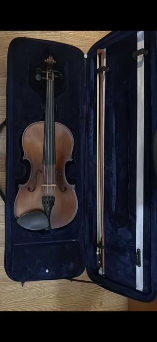 Viola d'arco 14"