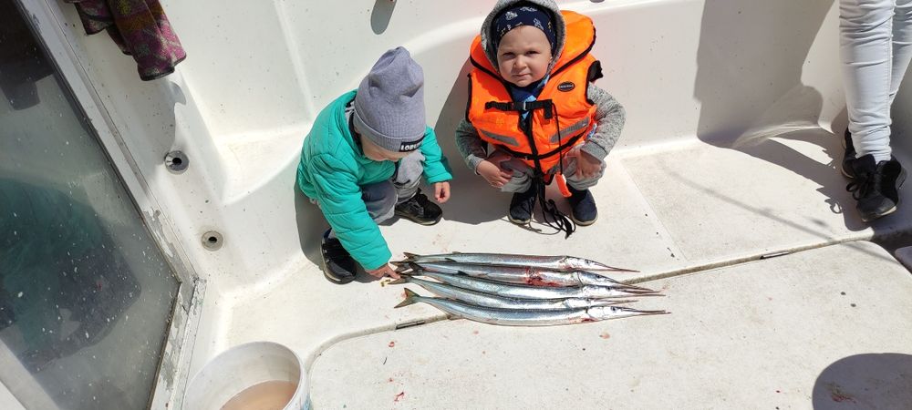 Rejs wędkarski na bellone belona belonę - prezent dla wędkarza wyprawa