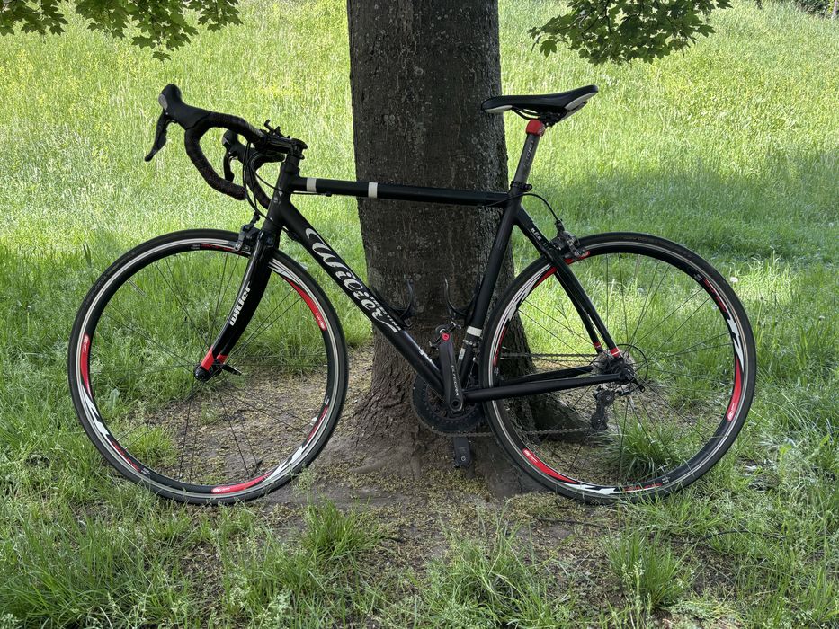 Rower szosowy wilier triestina rama 56