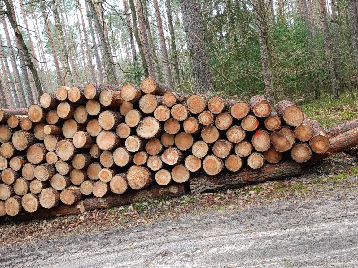 SPRZEDAM drewno opałowe i kominkowe drewno