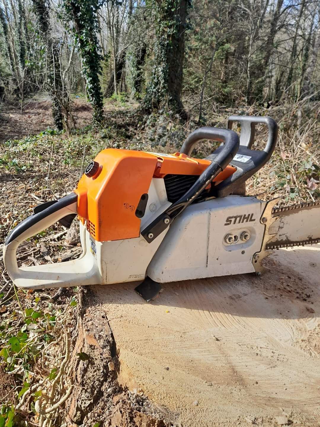 Stihl 880 stihl 088 stihl 881 stihl 084 660