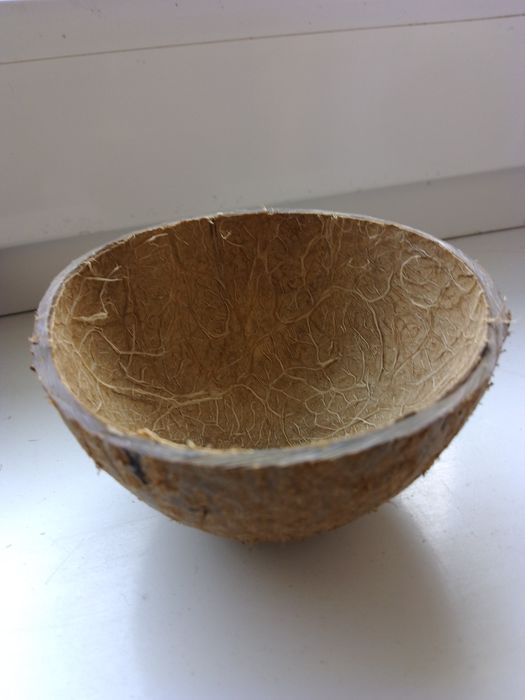 Кокосова шкаралупа