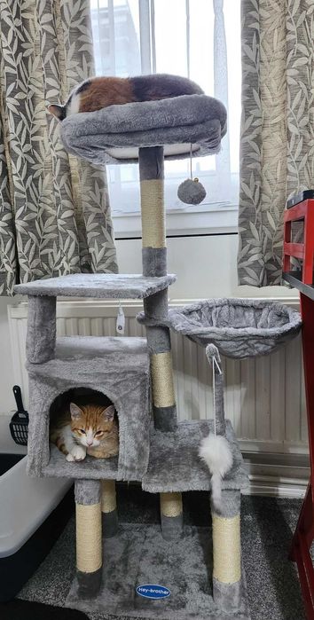Drapak dla kota z zabawką, wieża dla kotów , domek dla kota, NOWY