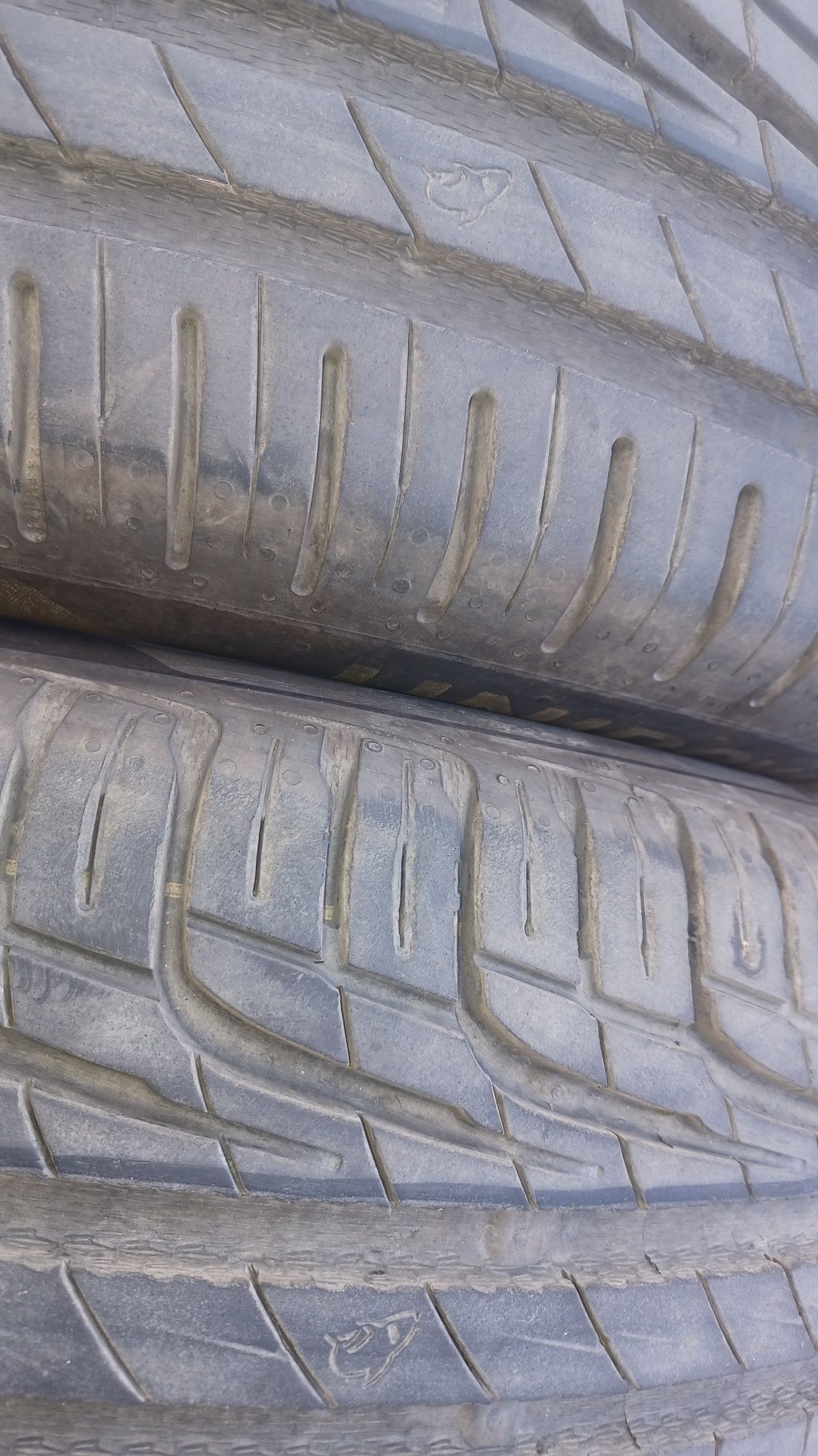 Opony letnie Uniroyal ReinExpert 5 w rozmiarze 175/65/14