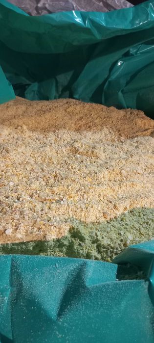 CCM Kukurydza mielona.