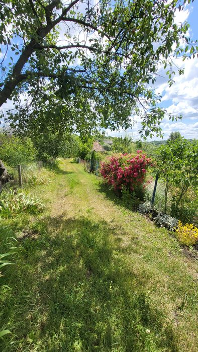 Продаж дачної ділянки