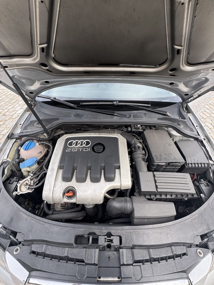 Audi A3 8P 2.0 TDI