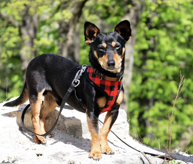 Maleńki Filip czeka na dom.