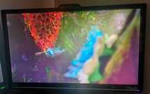 Monitor ASUS VK248H – 24 cale, Full HD, z kamerą, stan bardzo dobry!