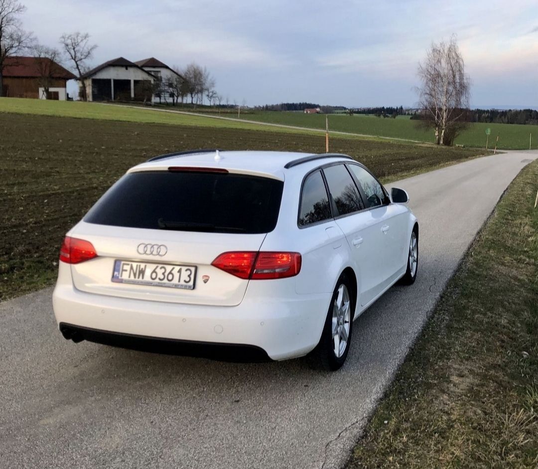 Audi A4 B8 2.0 TDI Biała perla