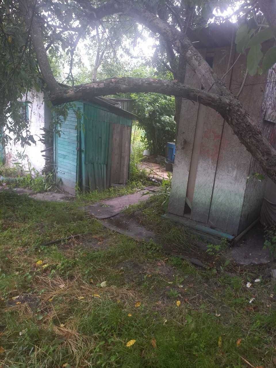Продається дача в Березанці. Торг