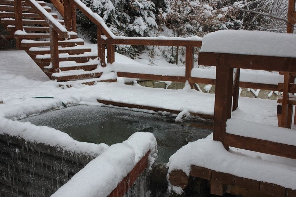 Котедж в Карпатах з басейном. Будинок в Мигово, оренда