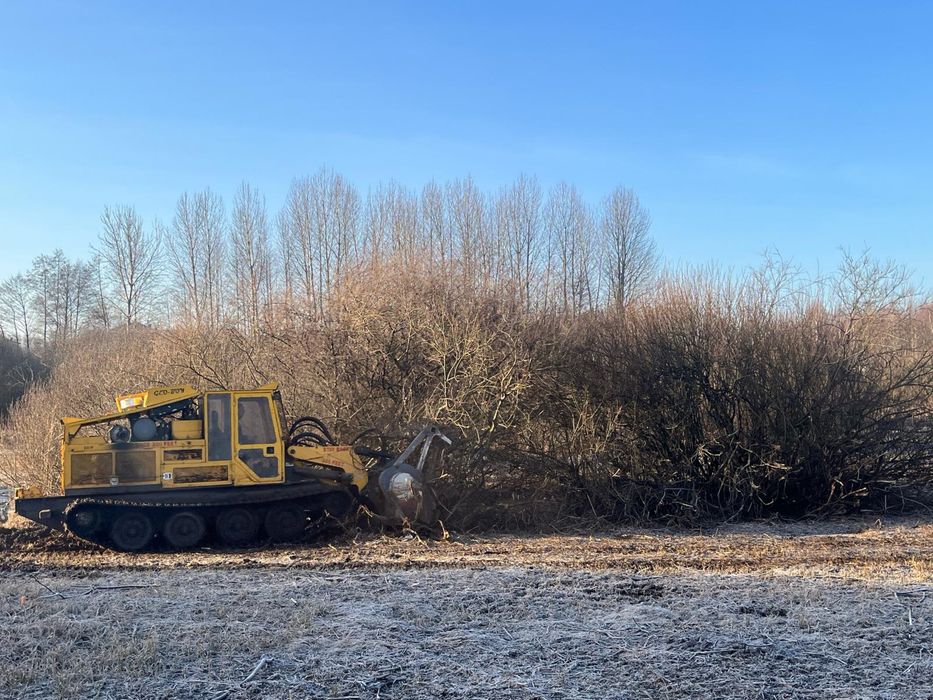 Mulczowanie usuwanie zakrzaczen samosiejek czyszczenie dzialek