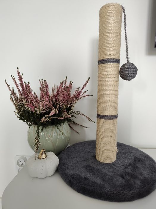 Nowy ładny drapak dla kota