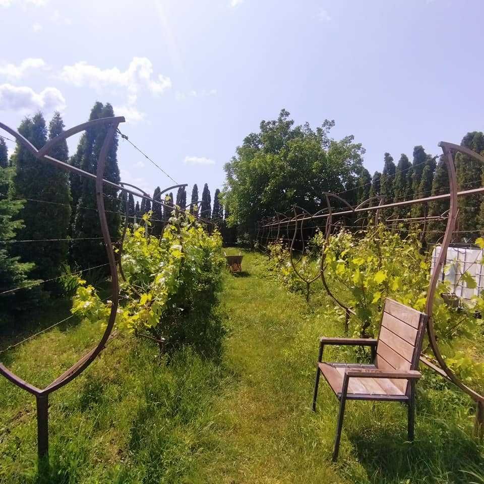 Продаж чудового будинку з дизайнерським ремонтом