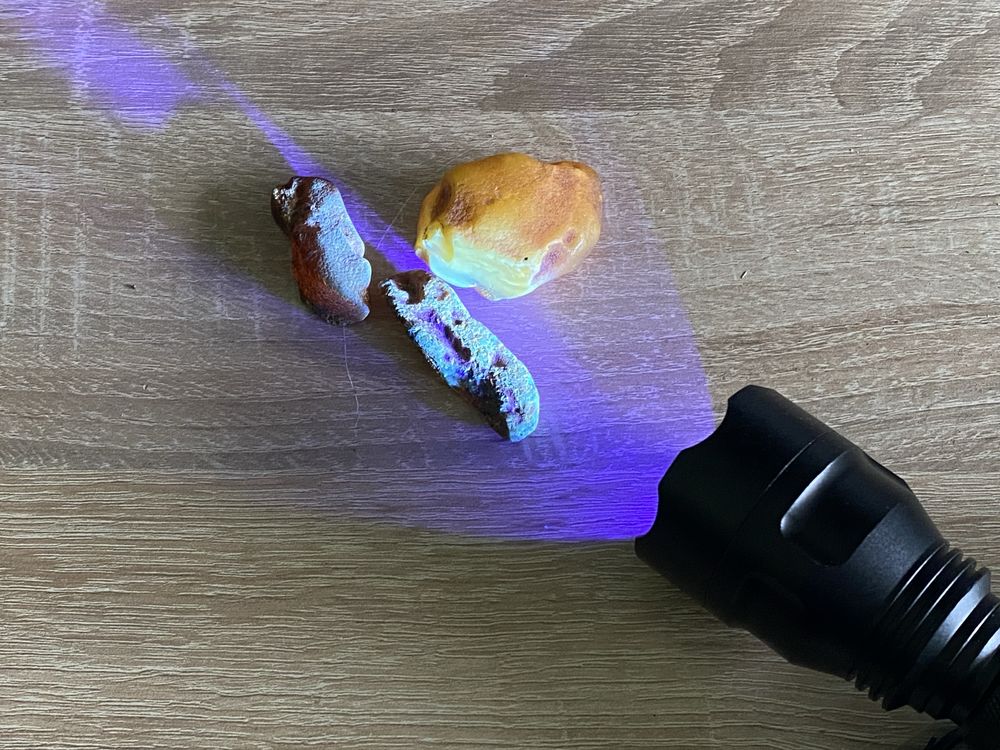 Latarka do poszukiwania Bursztynow. Wakacje nad Bałtykiem!