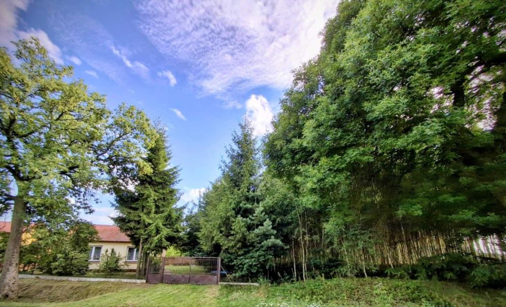 Sprzedam  dom, nieruchomość, działkę 9400m2