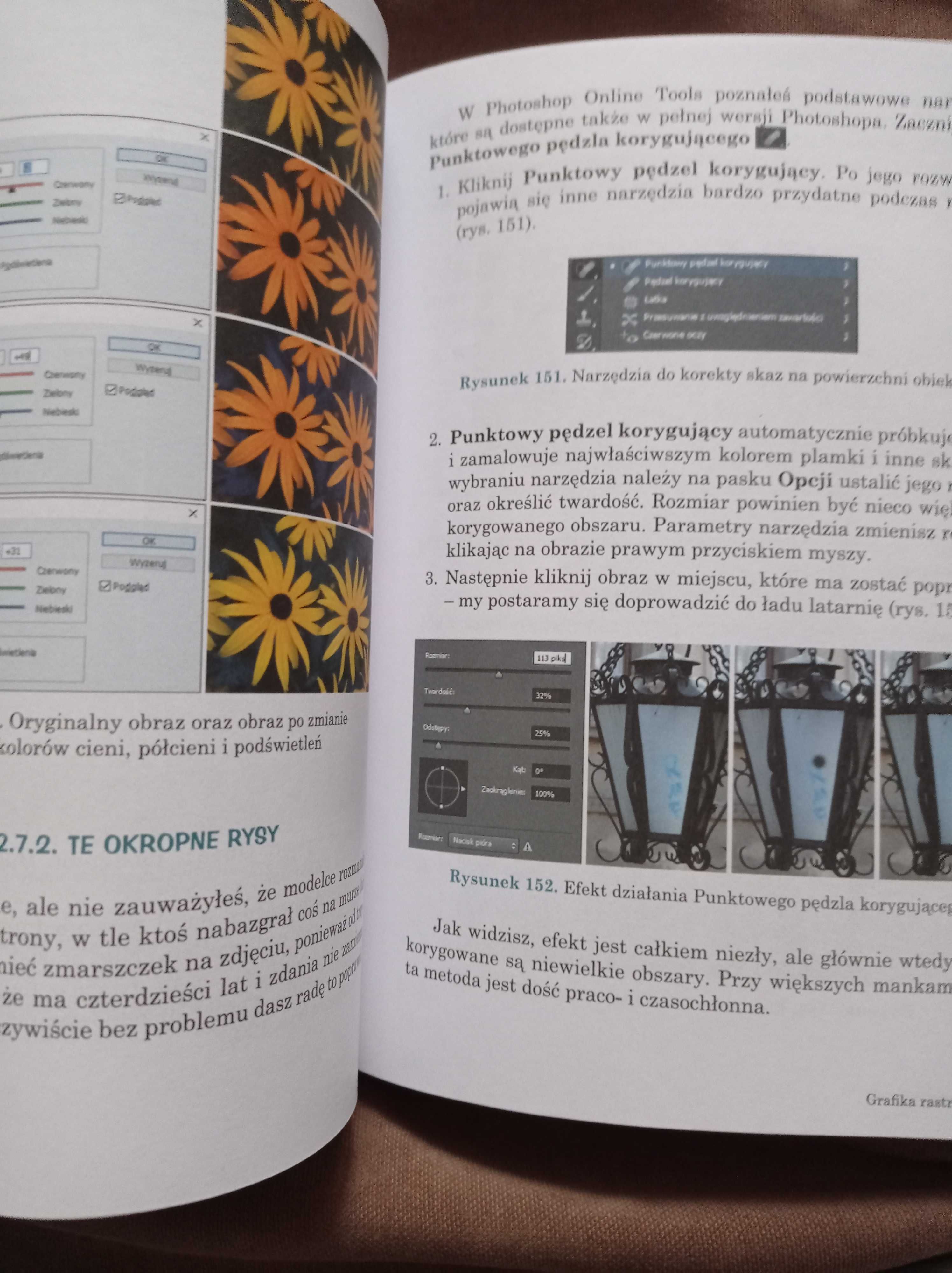 Grafika komputerowa - dwie książki - Piksele, wektory i inne stwory