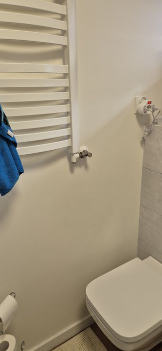 Grzałka grzejnika łazienka Terma 300 W