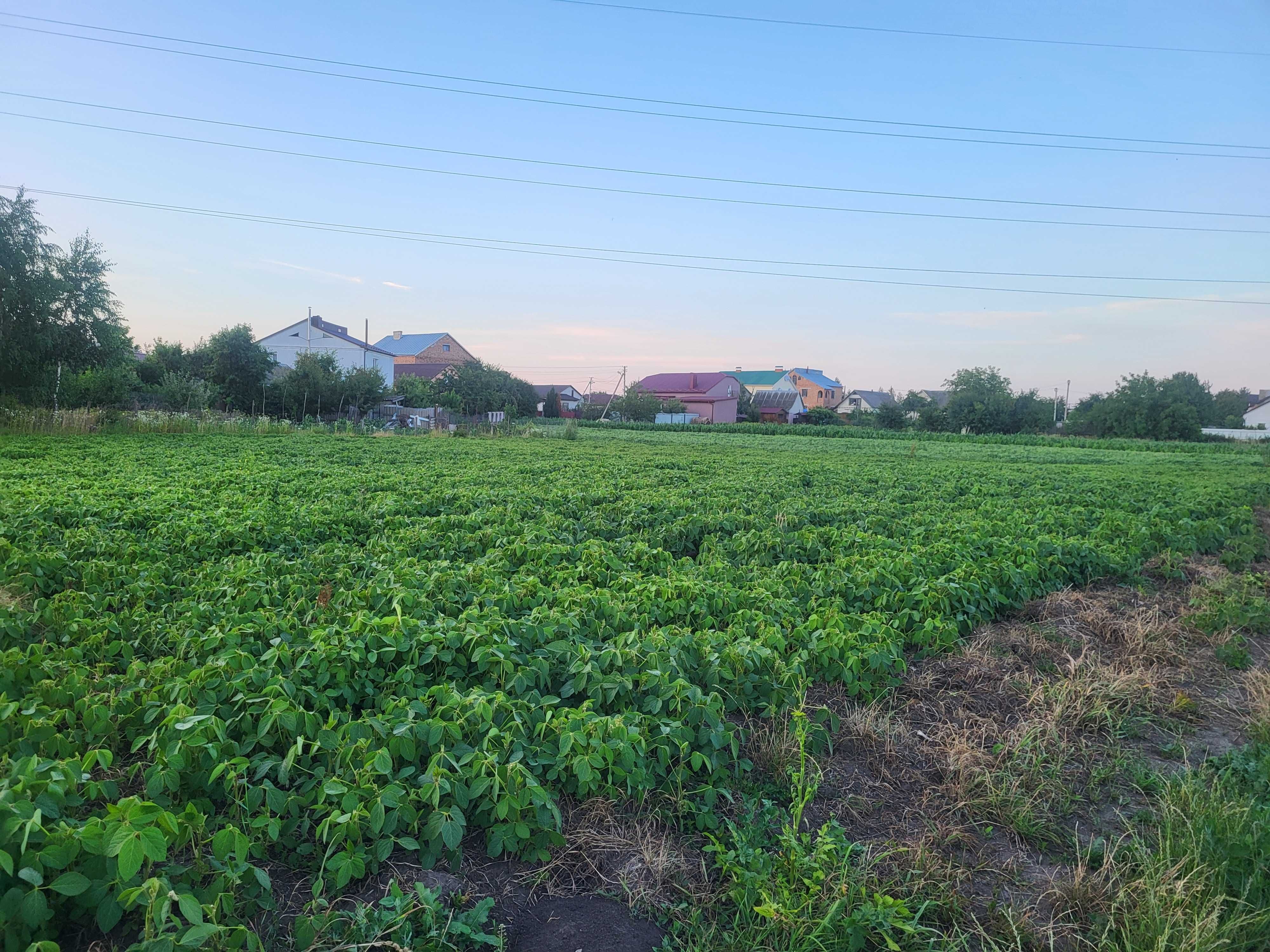 Земельна ділянка під забудову