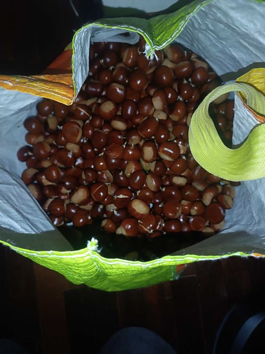 Castanhas à Venda