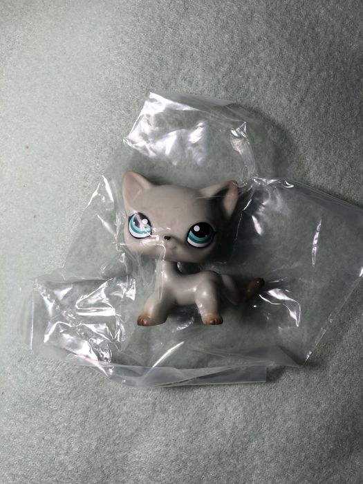 Nowy kotek shorthair egipski LPS