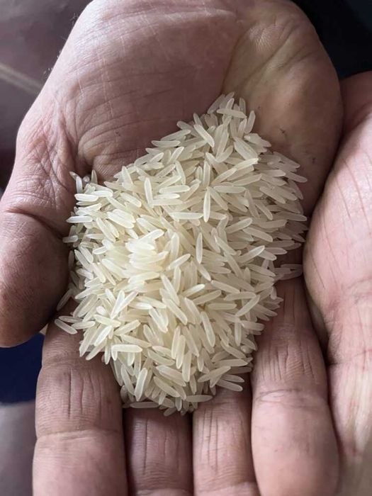 Оригінальний Індійський рис Басматі найвища категорія 5 кг