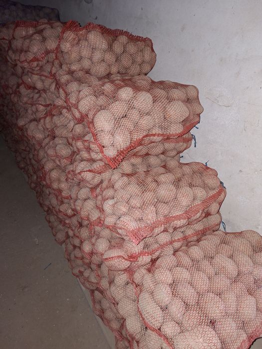 Ziemniaki ekologiczne