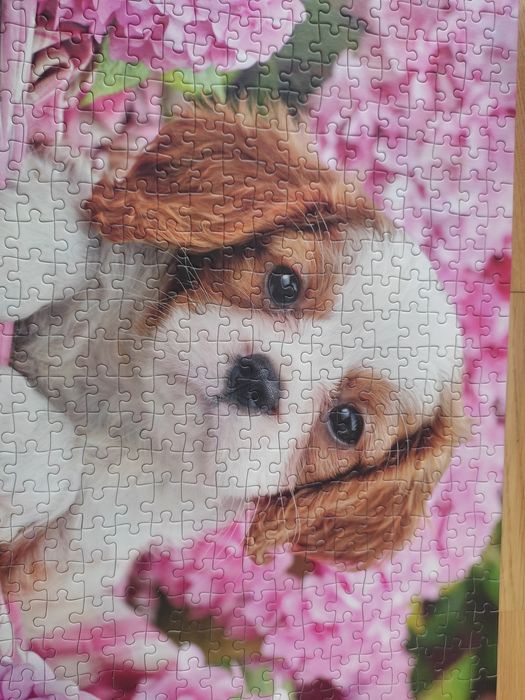 Puzzle 500 Pup in Pink Flowers / Szczenię w różowych kwiatach