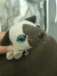 Оригинал кет игрушка