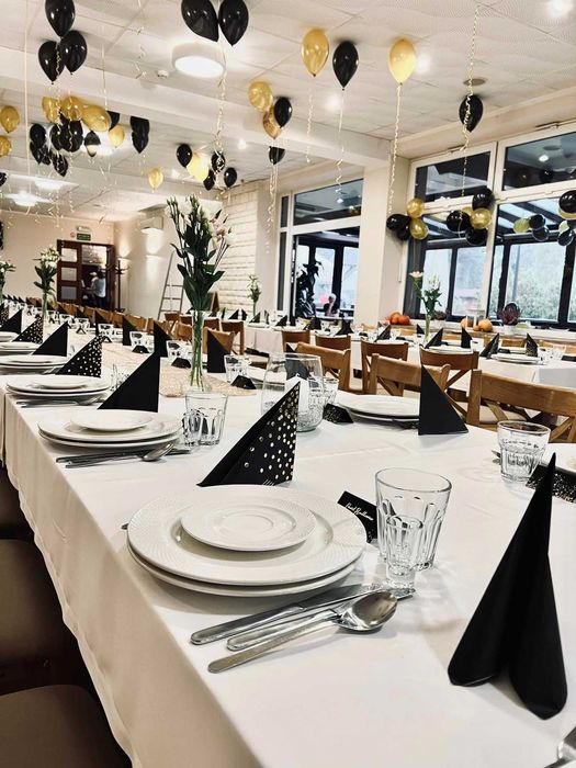 Bal Sylwestrowy, Sylwester, Noclegi ,Pokoje, Domki Wieleń /Boszkowo