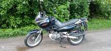 Suzuki Freewind 650 XF