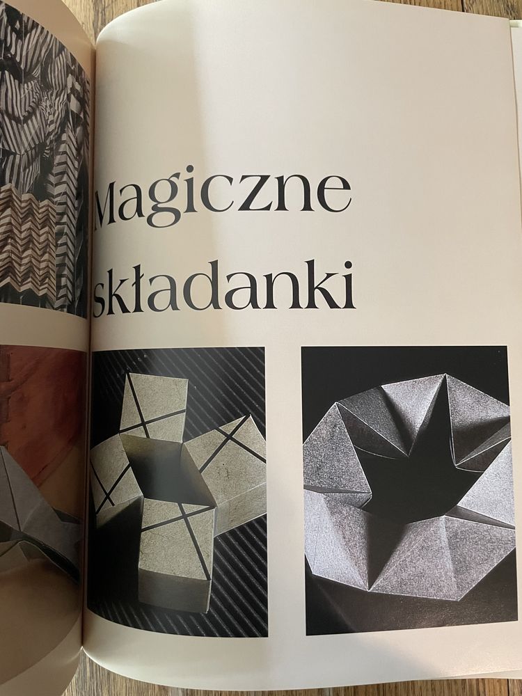 Księga Origami. Didier Boursin. Wyd.  Larousse